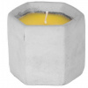Sviečka Citronella, cement, 85 g, repelentná, 90x75 mm