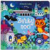 Svojtka Zvuky noci