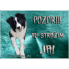 Pozorpes.sk, výstražná tabuľka (Border kólia)