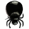 Čierny balón Arpex pavúk