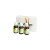 Allivictus Tinktúra 3x 50 ml