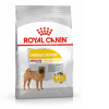 Royal Canin Medium Dermacomfort 10 kg