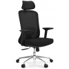 Kancelárska ergonomická stolička ASPEN s podhlavníkom - sieť, čierny plast, nosnosť 120 kg, čierna