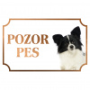 Malý kontinentálny španiel Papillon - Kovová tabuľka POZOR PES