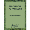 Prechádzka po Patagónii I - Martin Kukučín