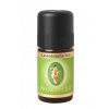 Éterický olej Šalvia levandulolistá BIO – Primavera Objem: 5 ml