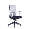 OFFICE PRO s.r.o. Kancelárska stolička CALYPSO XL BP, sivá