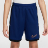 Nike Academy Shorts Juniors Navy/Orange 7-8 rokov