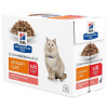 Hill's Diety Hill's Prescription Diet Feline c/d Urinary Stress Salmon 12x85g
