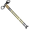 Palice NILS NW603 Nordic Walking