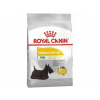 Royal Canin Mini Dermacomfort 8 kg