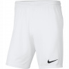 Detská košeľa - Šortky Nike 152 biele (Nike krátke športové šortky pre deti 147-158)