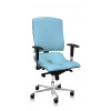 ASANA Seating Ergonomická kancelárska stolička Asana Steel Standard Farba čalúnenia: Eko koža Svetlo Modrá 574, Opierky rúk: bez opierok 11 farieb