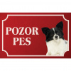 Malý kontinentálny španiel Papillon - Kovová tabuľka POZOR PES