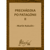 Prechádzka po Patagónii II - Martin Kukučín