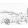 ZUTY Bodkovanie - KRAJINA S VINICAMI Rámovanie: vypnuté plátno na rám, Rozmer: 80x100 cm
