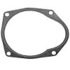 QUICKSILVER Tesnenie pre vodné čerpadlo pre MerCruiser Alpha One Gen 2 (27-8172771) 27-8172771 Gasket for water pump Mercury/Mariner: 27-43034-1, 27-430341, 27-817277-1, 27-8172771, 43034, 430341, 817