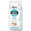 Brit Dog Fresh Fish & Pumpkin Adult Large 2,5 kg