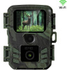 EVOLVEO StrongVision MINI WiFi, fotopast/bezpečnostní kamera s aplikací CAM-MINIW
