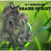 Grains of Dust