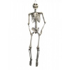 Halloween závěsná kostra, 175 cm