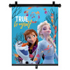 SEVEN Slnečná clona Roletka Ľadové Kráľovstvo True Plast, Polyester, 1 ks