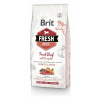 Brit Dog Fresh Beef & Pumpkin Puppy Large 12 kg