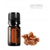 doTERRA Esenciálny olej Arborvitae 5 ml