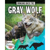 Gray Wolf (Paula Smith)(Brožovaná)