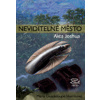 Neviditelné město - Maria Guadeloup Harrisová