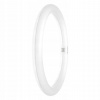 LED kruhová žiarivka C32 18,3 W 6500K G10q