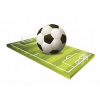 CUKROVÁ TLAČ jedlý obrázok na tortu Cukrová hmota Ihrisko Futbal + MENO