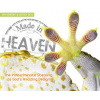 Made in Heaven (Ray Comfort,Jeff Seto)(Pevná)