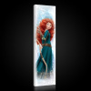 Obraz na plátne panoráma - OB2282 - Rebelka Merida 145cm x 45cm - O3