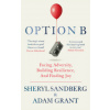 Option B