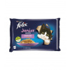 Nestle FELIX Fantastic cat Multipack junior kura&losos želé kapsička 4x85 g