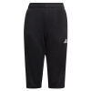 Pants adidas Tiro 21 3/4 Pant Jr GM7373 (66564) 152 cm
