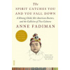Spirit Catches You and You Fall Down