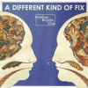 LP Bombay Bicycle Club: A Different Kind Of Fix