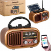 Sieťovo-batériové rádio AM, FM, SW Retropolis Austin