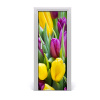 Samolepiace fototapety na dvere farebné tulipány 75x205
