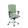 ASANA Seating Ergonomická kancelárska stolička Asana Steel Standard Farba čalúnenia: Eko koža Zelená 569, Opierky rúk: bez opierok 11 farieb