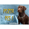 Pozorpes.sk, výstražná tabuľka (Hnedý labrador retríver)