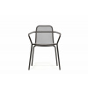 TODUS STARLING STR2