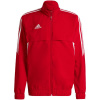 Adidas Condivo 22 Presentation M sweatshirt HA6238 (189450) L