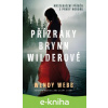 E-kniha Přízraky Brynn Wilderové - Wendy Webb