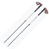 Black Diamond EXPEDITION 2 palice