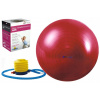 Fitness lopta - Gymnastická lopta na rehabilitačné cvičenia 55 cm (Gymnastická lopta na rehabilitačné cvičenia 55 cm)