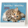 Kalendář stolní 2019 - MiniMax Kočičky/Mačičky