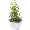 Gusta Garden Herbs Buddy samozavlažovací kvetináč, biely GG-124F10